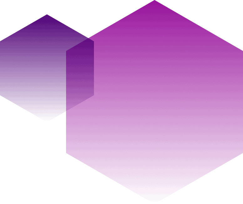 purple hexagons duo
