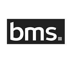BMS_Logo_Rev_GREY-250x220