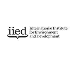 IIED_GREY-250x220