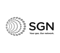 SGN_Logo_GREY-250x220